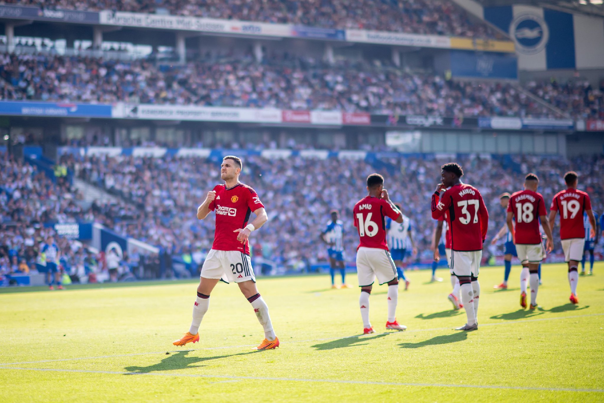 的敏锐嗅觉 的敏锐嗅觉